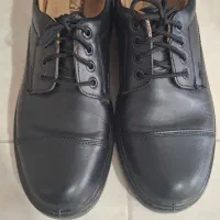 کفش چرم نو|کیف، کفش، کمربند|آمل, |دیوار