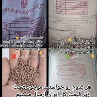 کود دی آمونیوم فسفات شرکت رازی درجه یک ریشه.تریپل