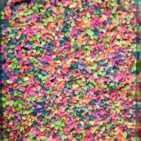 آکواریوم شیشه خم ماهی با لوازم مفت گذاشتم بره