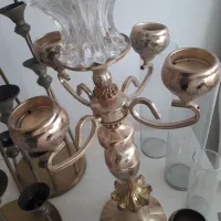 شمعدانی های زیبا