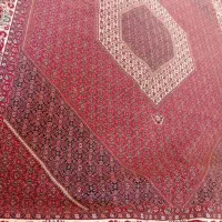 دوتا فرش ۱۲ متری|فرش|بروجرد, |دیوار