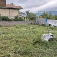 فروش زمین  ۶۰۰ متری سندتک برگ  ۳۵۰ متر پروانه ساخت|فروش زمین و ملک کلنگی|ماسال, |دیوار