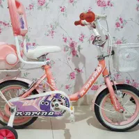 دوتا دوچرخه یه12 دخترانه و یه 16 پسرانه