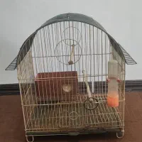 قفسه و دو عدد قفس|کتابخانه، شلف، قفسه‌های دیواری|صدرا-فارس, فاز ۱|دیوار