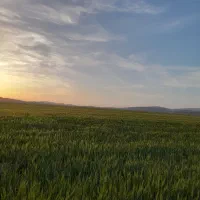 آبگیری کشاورزی