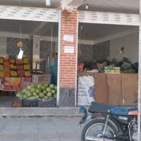 واگزاری میوه فروشی