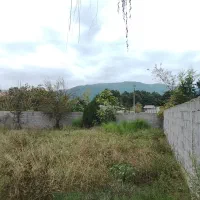 250مترزمین مسکونی با پروانه100متری شاندرمن زیبا .|فروش زمین و ملک کلنگی|شاندرمن, |دیوار