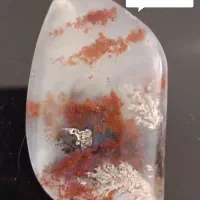 شجر منظره|کلکسیون اشیاء عتیقه|فردوس (خراسان), |دیوار