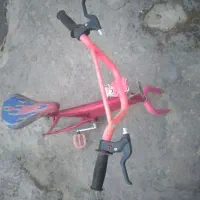 تنه دوچرخه