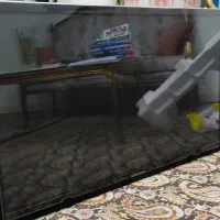 پلاسما۴۳ اینچ سامسونگ
