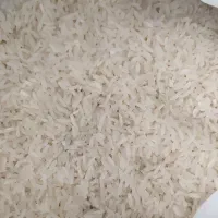 برنج هاشمی محلی گیلان قیمت مناسب