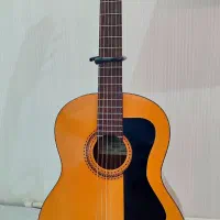 گیتار فرناندز Fernandez