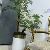 گلدون نونو یه هفتس خریدم به علت جا به جایی|گل مصنوعی|قرچک, پویینک|دیوار