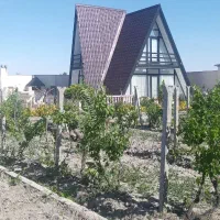 مجری ذیصلاح پایه 3|خدمات پیشه و مهارت|ارومیه, |دیوار