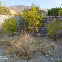 فروش ویلا باغ دلفارد|فروش خانه و ویلا|درب بهشت, |دیوار