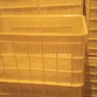 سبدزردرنگ براانگور ومیوه وسایر