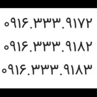 ۰۹۱۶۳۳۳۹۱۷۲
