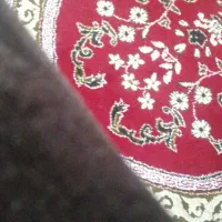 قالیشویی و مبل شویی مشتاق|خدمات نظافت|کرمانشاه, |دیوار