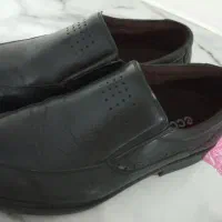 کفش|کیف، کفش، کمربند|آمل, |دیوار