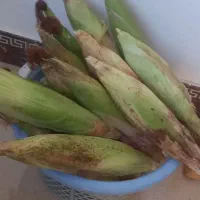 بلال درجه یک و ضمانتی