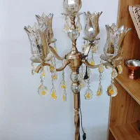 اباژور ۵ شاخه کنار سالنی