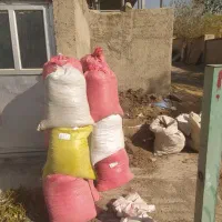 فروش کود حیوانی تمیز بدون آشغال|خدمات باغبانی و درختکاری|تهران, شهرک علم و فناوری|دیوار