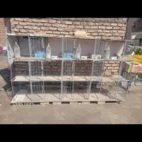 جفتگاه کفتر