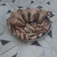 کله پاچه بره ۵۰۰ هزار تومان|خوردنی و آشامیدنی|خرمشهر, |دیوار