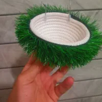 سیره|پرنده|خمینیشهر, |دیوار