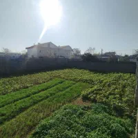 فروش زمین ۳۰۰متری سند دار دور دیوار در رشت آتشگاه