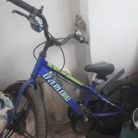 دوچرخه با ارائه سند به همراه دو زنگ و یک چراغ