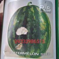 بذر هندوانه شرکت پتو سید p.s