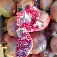 انار ربی|خوردنی و آشامیدنی|آباده, |دیوار