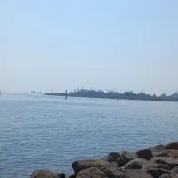 جاشو، کارگر لنج و قایق صید، ماهیگیر بشی یا روزمزد