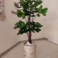 درختچه مصنوعی لیراتا / گلدان پتینه