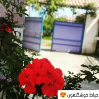 رامسر ۲ خوابه دربست حیاط دار|اجارهٔ کوتاه‌مدت ویلا و باغ|رامسر, |دیوار