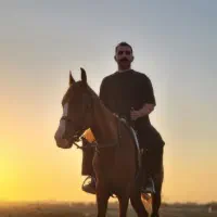 اسب نریشن دره شوری|اسب و تجهیزات اسبسواری|مشهد, الهیه|دیوار