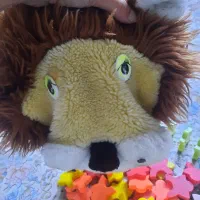 دومینو|اسباب‌‌بازی|مشهد, رضاییه|دیوار