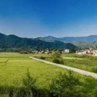 اگرمیخای-ویلای-شیک-بسازی-اینزمین160م-چسب-جنگلوبخر
