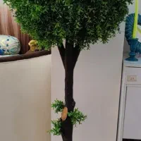 درخت شمشاد توپی مصنوعی