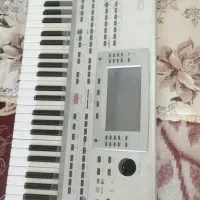 ارگ P80|پیانو، کیبورد، آکاردئون|جنت, |دیوار