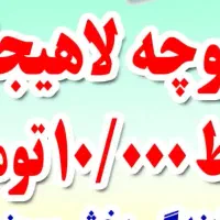 کلوچه لاهیجان فقط ده هزار ارسال رایگان|خوردنی و آشامیدنی|سبزوار, جهاد کشاورزی|دیوار