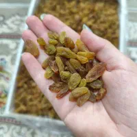 کشمش سبز کاشمر|خوردنی و آشامیدنی|نیشابور, بنیاد شهید|دیوار