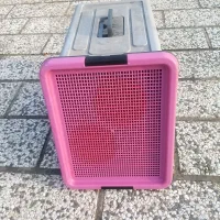 باکس حمل سگ|لوازم جانبی حیوانات|رشت, حاجی آباد|دیوار