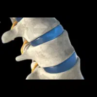 متخصص کمر درد،سیاتیک، دیسک کمر،تنگی کانال،ابدرمانی|خدمات آرایشگری و زیبایی|مشهد, رضاشهر|دیوار