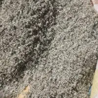 کلپوره