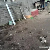 زمین مسکونی|فروش زمین و ملک کلنگی|زیباکنار, |دیوار