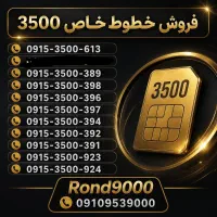 0915-3500-391