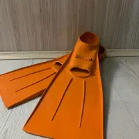 فین شنا در حد نو