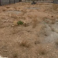 زمین چهار دیواری جاده یل اباد|فروش زمین و ملک کلنگی|ساوه, |دیوار